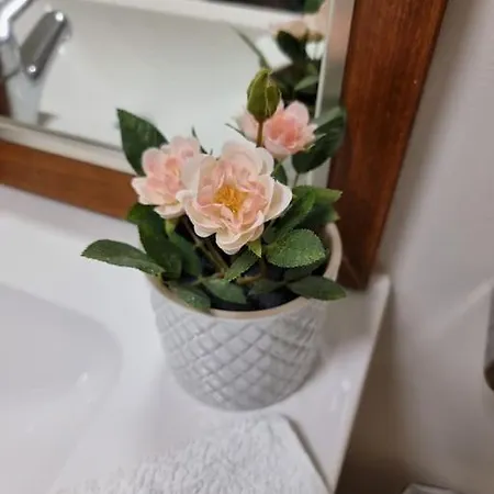 Apartamento Casa Berry