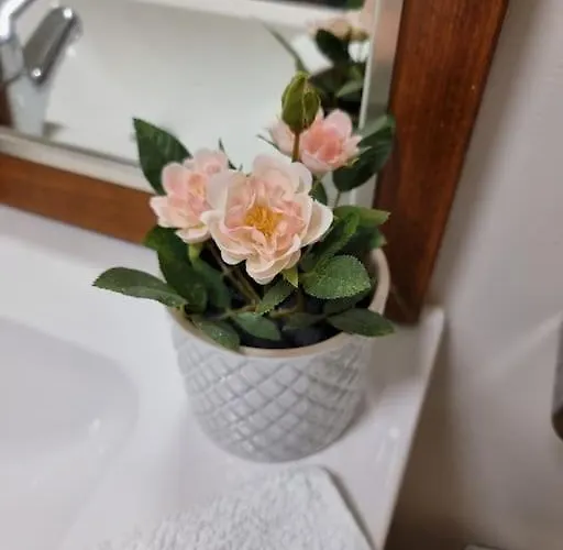 Апартаменты Casa Berry